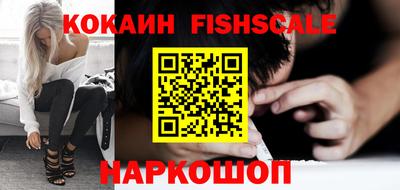 крисы Кулебаки