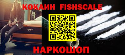 крисы Кулебаки