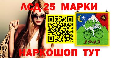 крисы Кулебаки