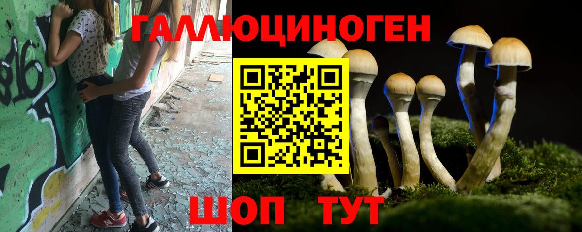 Елизово  Галлюциногенные грибы GOLDEN TEACHER  Галлюциногенные грибы ЛСД  Вход с VPN 